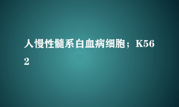 人慢性髓系白血病细胞；K562