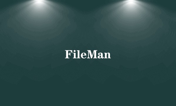 FileMan