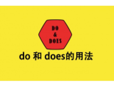 do 和 does 的用法