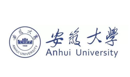 安徽大学未来学院