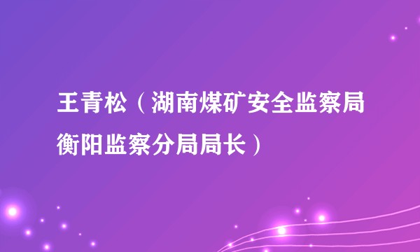 王青松（湖南煤矿安全监察局衡阳监察分局局长）