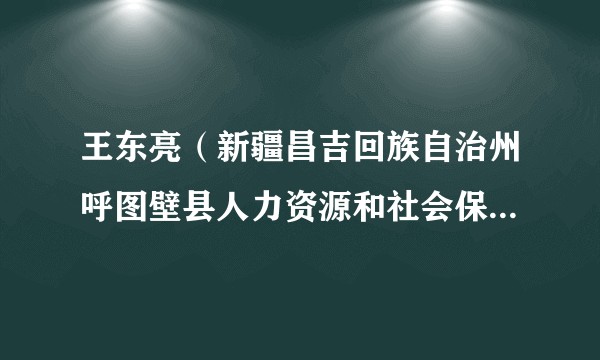 王东亮（新疆昌吉回族自治州呼图壁县人力资源和社会保障局党组成员、副局长、三级主任科员）