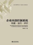 企业内部控制系统——构建·运行·评价