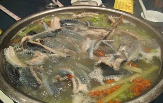 蛇肉火锅