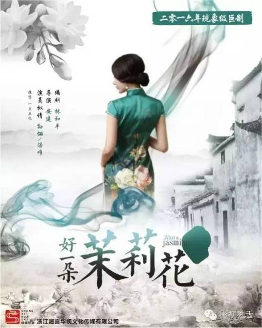 好一朵茉莉花(2024安建执导的剧情剧)
