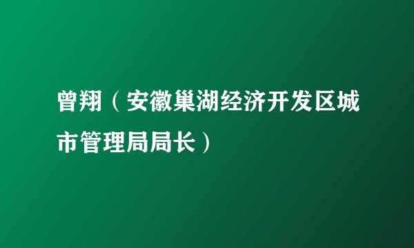 曾翔（安徽巢湖经济开发区城市管理局局长）