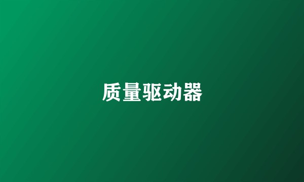 质量驱动器