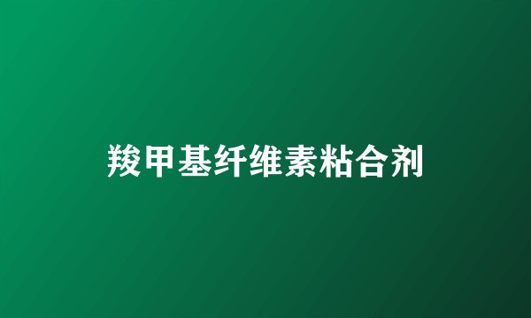 羧甲基纤维素粘合剂
