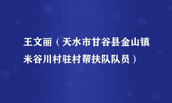 王文丽（天水市甘谷县金山镇米谷川村驻村帮扶队队员）
