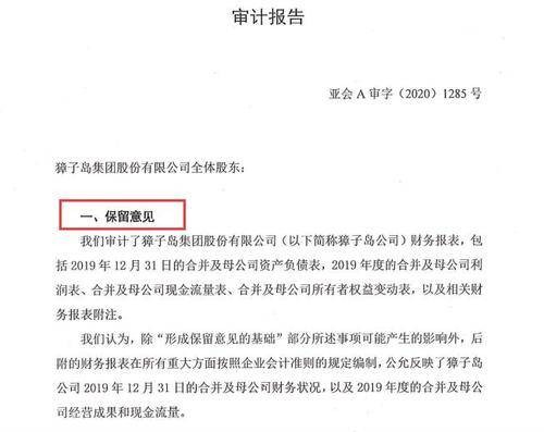 保留意见审计报告
