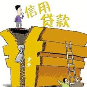 信用额度借款