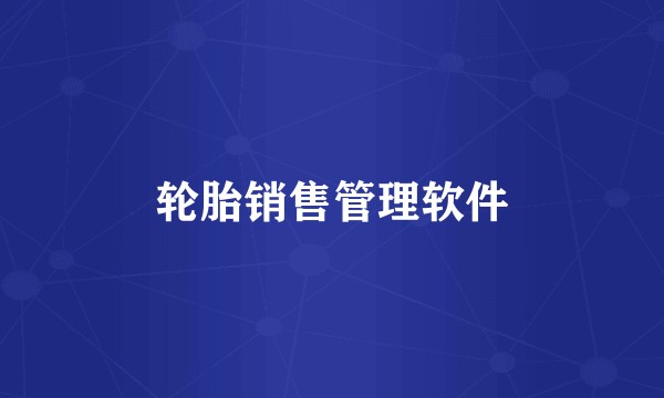 轮胎销售管理软件
