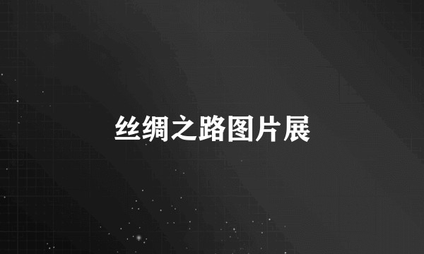 丝绸之路图片展