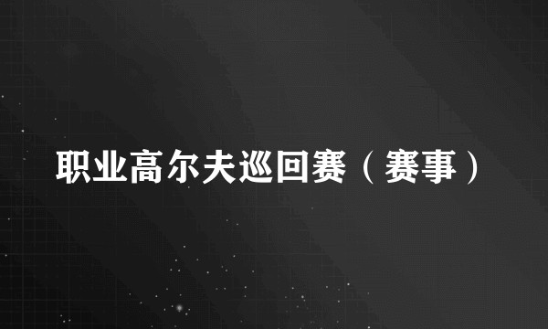 职业高尔夫巡回赛（赛事）