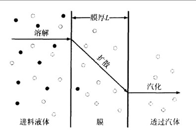 溶解扩散模型
