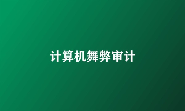 计算机舞弊审计