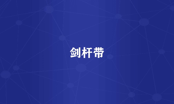 剑杆带