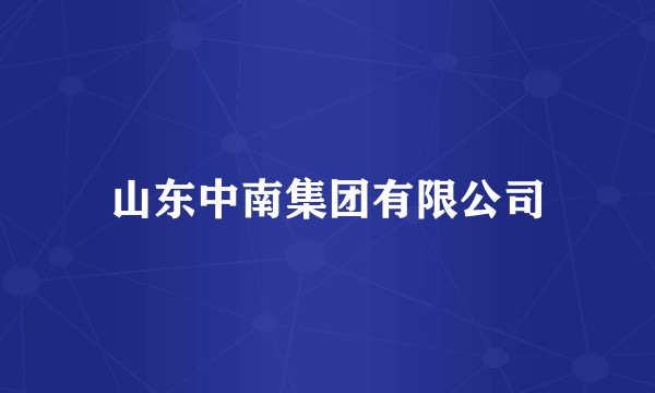 山东中南集团有限公司