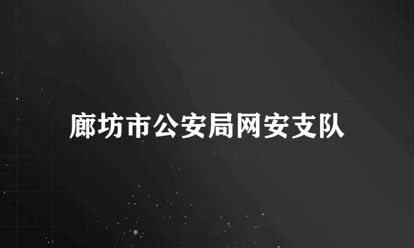 廊坊市公安局网安支队