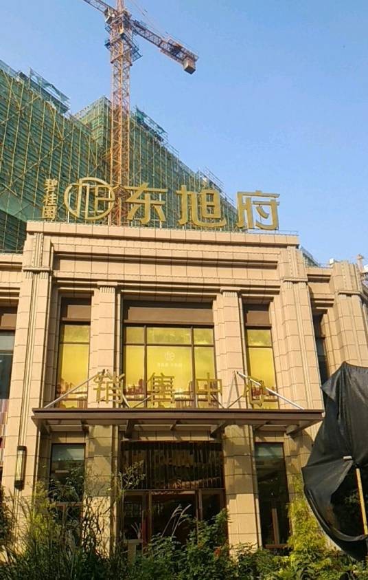 碧桂园东旭府