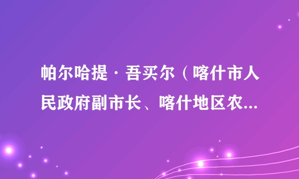 帕尔哈提·吾买尔（喀什市人民政府副市长、喀什地区农业农村机械化发展中心副主任）