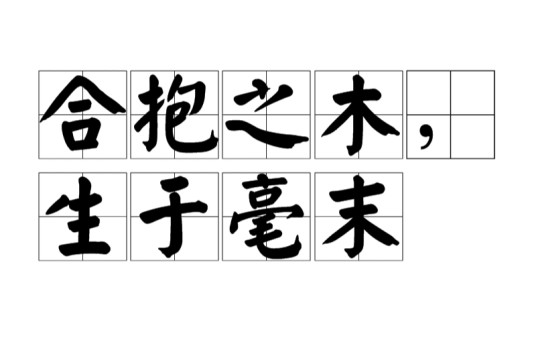 合抱之木，生于毫末