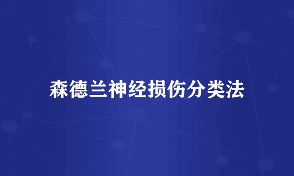 森德兰神经损伤分类法