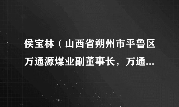 侯宝林（山西省朔州市平鲁区万通源煤业副董事长，万通源能投派驻万通源煤业代表）