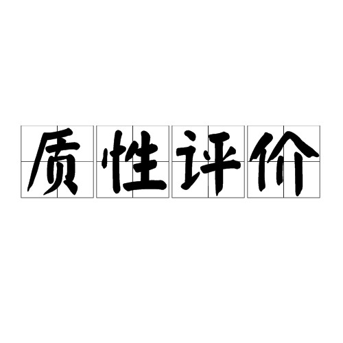 质性评价