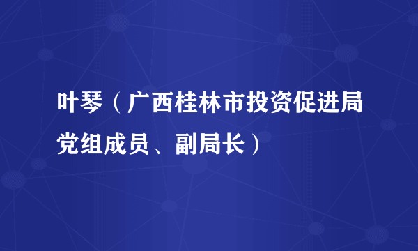 叶琴（广西桂林市投资促进局党组成员、副局长）