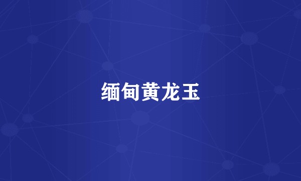 缅甸黄龙玉