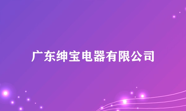 广东绅宝电器有限公司