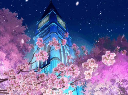 樱花动态壁纸
