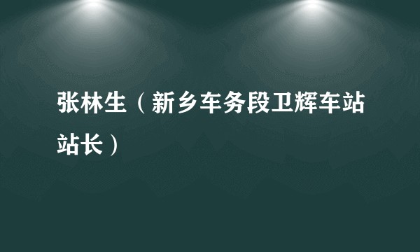 张林生（新乡车务段卫辉车站站长）