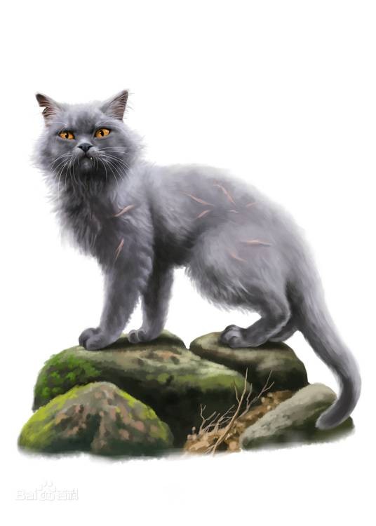 黄牙（小说《猫武士》中的角色）