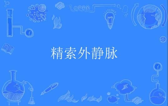 精索外静脉