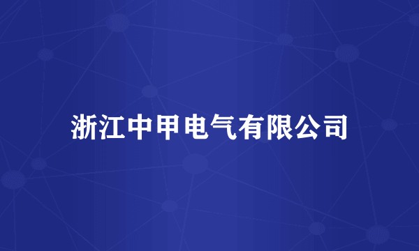 浙江中甲电气有限公司