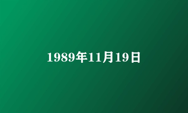 1989年11月19日
