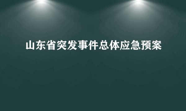 山东省突发事件总体应急预案