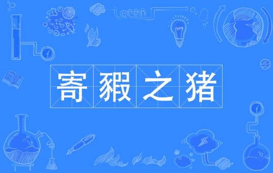 寄豭之猪