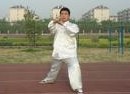和式太极拳（中国武术拳法）