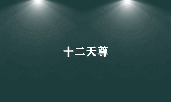 十二天尊