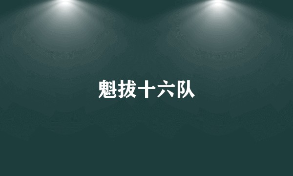 魁拔十六队