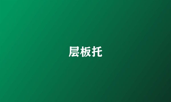 层板托