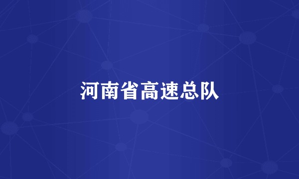 河南省高速总队