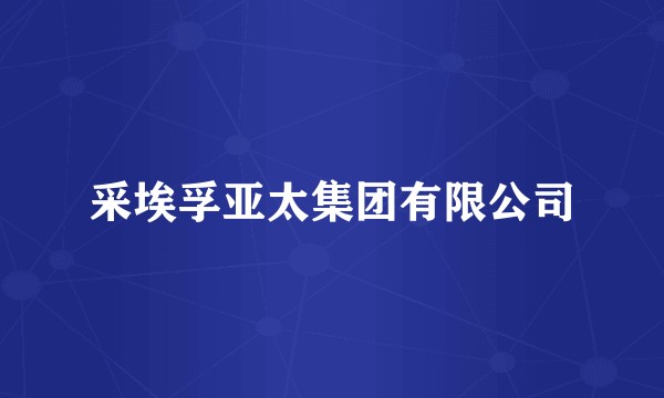 采埃孚亚太集团有限公司