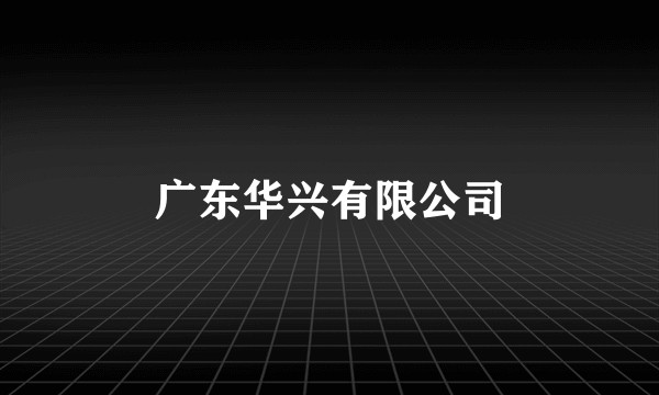 广东华兴有限公司
