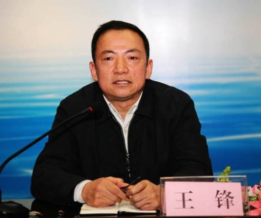 王锋（陕西水利厅原党组书记、厅长）