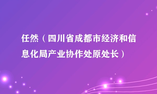 任然(四川省成都市经济和信息化局产业协作处原处长)