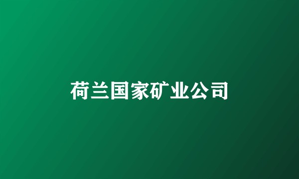 荷兰国家矿业公司